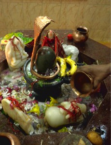 Shiva Linga Puja