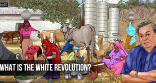 What is the White Revolution?