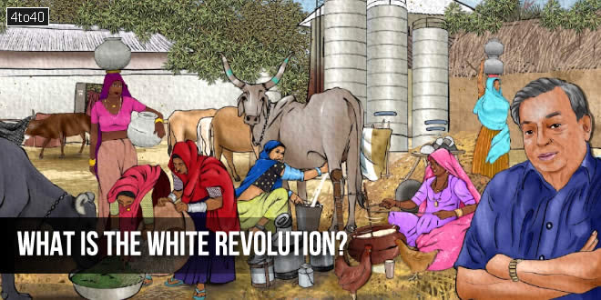 What is the White Revolution?