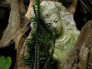 Lord Buddha plaster of paris staue