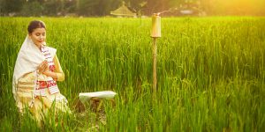 Kongali Bihu / Kati Bihu - Hindu Festival