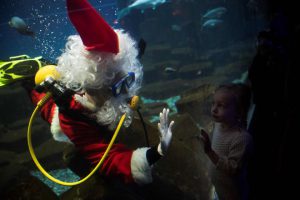 A man dressed as Santa Claus greets visitors as he dives to feed fish in the aquarium of Paris on December 17, 2016.