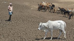 As rivers and streams run dry, villagers are forced to dig borewells and pump up increasingly polluted groundwater. But decades of extracting groundwater for their daily needs has led to a precipitous drop in the groundwater table levels across the country threatening environmental and human disaster.