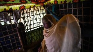 Inside a stifling bamboo shanty, eight-year-old Saleema Khanam throws a bright yellow shawl over her head and steps out into an enormous refugee camp in Bangladesh, clutching her treasured Quran. She is the only girl in her local madrassa or Islamic seminary, catering to Rohingya children driven from Buddhist-majority Myanmar by a wave of genocidal violence.