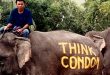 Bill Gates' Post On Thailand's 'Condom King': Must Read