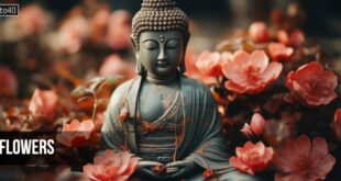 Flowers: Gautama Buddha Poem For Kids