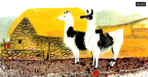 Llamas are kept by the Peruvian peasants