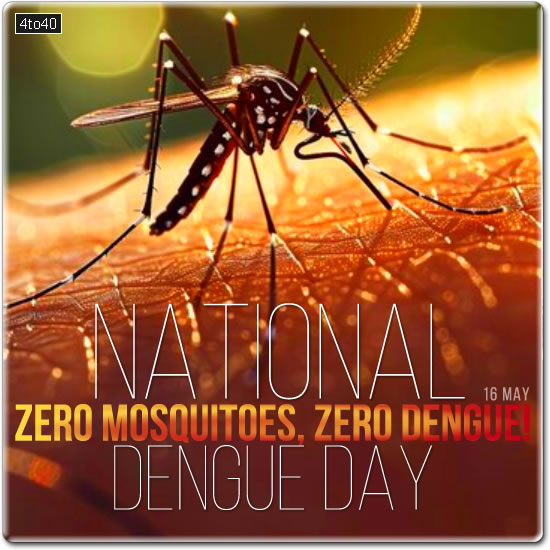 Zero Mosquitoes - Zero Dengue!