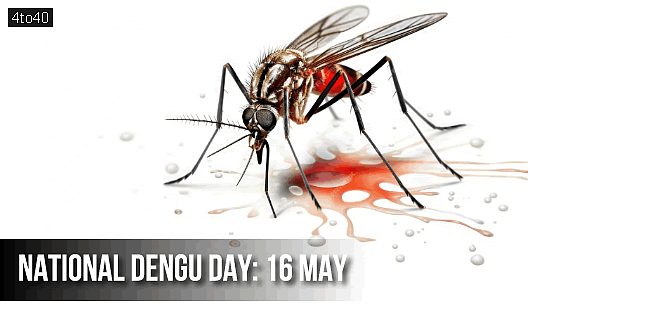 National Dengue Day: Date, Symptoms, Prevention and Treatment