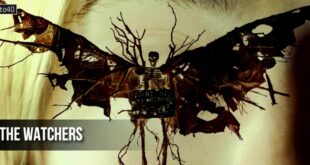 The Watchers: 2024 Night Shyamalan Supernatural Horror Film 