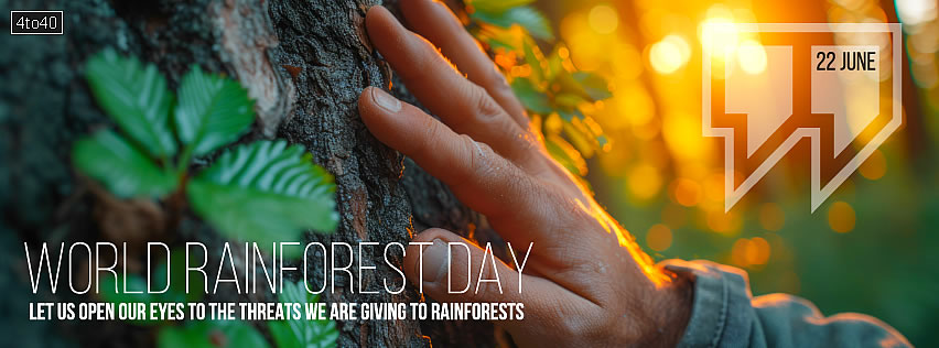 Let us open our eyes to the threats we are giving to rainforests