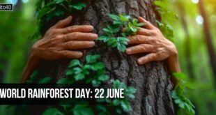 World Rainforest Day: Date, Theme, History, Quotes and Slogans