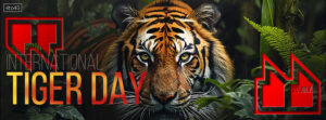 International Tiger Day 29 June Facebook Covers, Banners & Posters