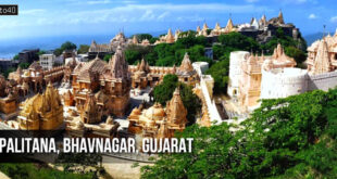 Palitana, Bhavnagar, Gujarat: 900 Swetambar Jain temples on hill