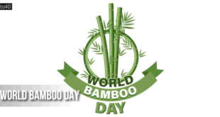 World Bamboo Day: Date, History, Significance & Celebration