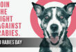 World Rabies Day: Information, Theme, History