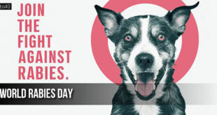 World Rabies Day: Information, Theme, History