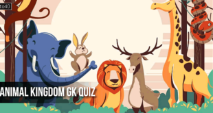 Animal Kingdom GK Quiz: How Sharp is Your Animal Knowledge