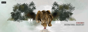 International Jaguar Day Facebook Cover