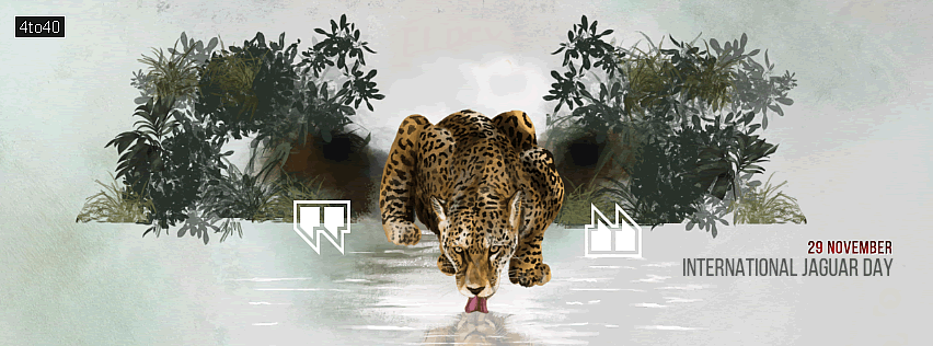 International Jaguar Day Facebook Cover