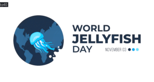 World Jellyfish Day: Date, History, Significance, Fun Facts