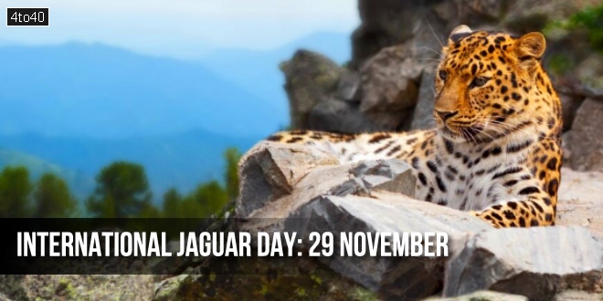 International Jaguar Day: Date, Theme, Population, Conservation