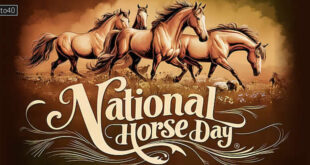 National Horse Day: Date, Theme, History, Significance, Celebration