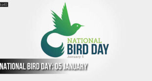 National Birds Day: Date, Celebration, Importance, Interesting Facts