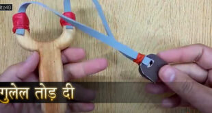गुलेल तोड़ दी: पक्षियों का शिकार न करने को प्रेरित करती हिंदी कहानी